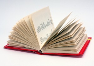 Languages and the Jobs Available